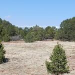 8650  Widow Woman Canyon  Trinidad, CO 81082