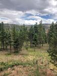   Houchin Blvd La Veta, CO 81055