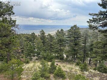 275  Upper Vista Road Manitou Springs, CO 80829